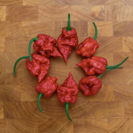 Carolina Reaper, Pepper Seeds